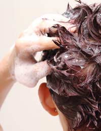 Dry Hair Natural Damage Healthy